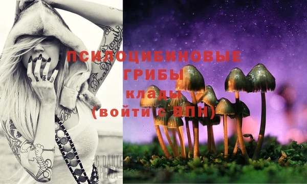 стафф Нея