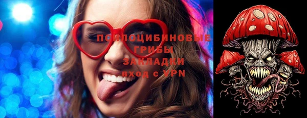 гидра Михайлов