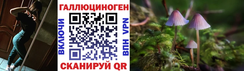 Псилоцибиновые грибы Psilocybe Богданович