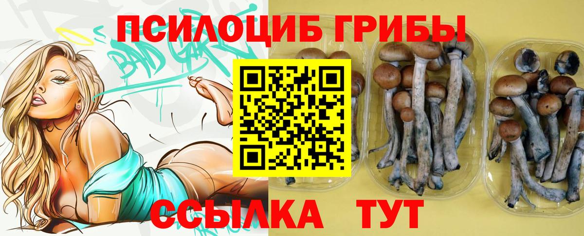 Галлюциногенные грибы мухоморы Богданович