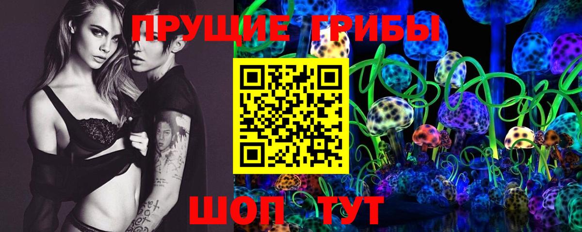 как найти   Псилоцибиновые грибы Psilocybe  Богданович  Псилоцибиновые грибы Cubensis 