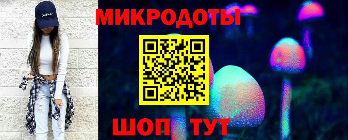 Богданович  Псилоцибиновые грибы Psilocybe  Вход с VPN 